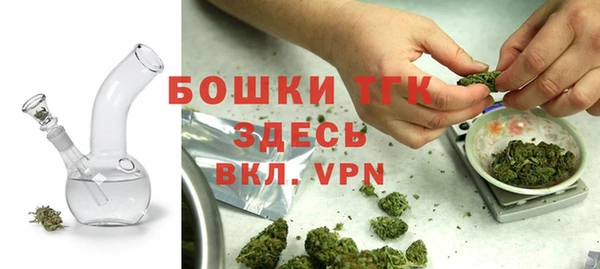 эйфоретик Новодвинск