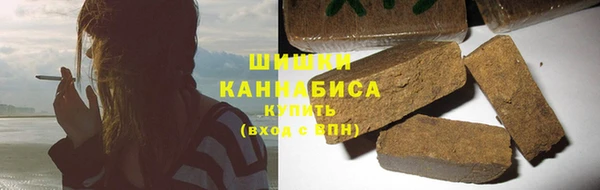 индика Абаза