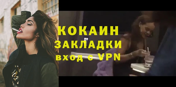 индика Абаза