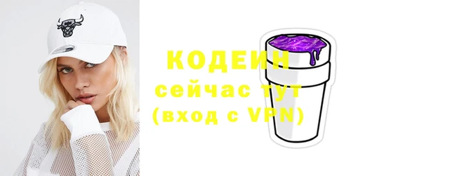крисы Новокубанск