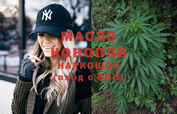 индика Абаза