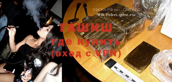 индика Абаза
