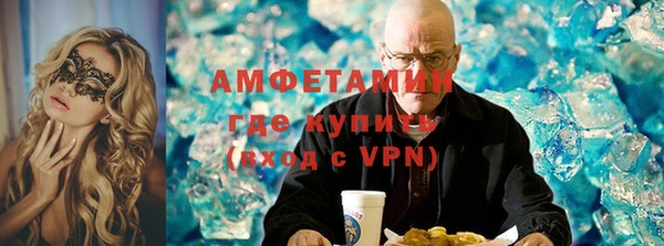 индика Абаза