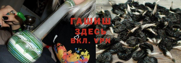 индика Абаза