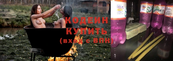 индика Абаза