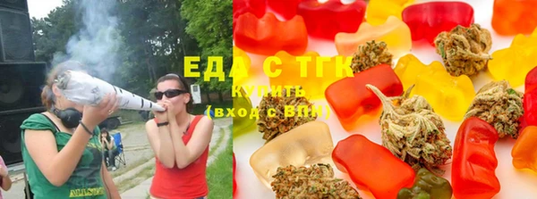 индика Абаза