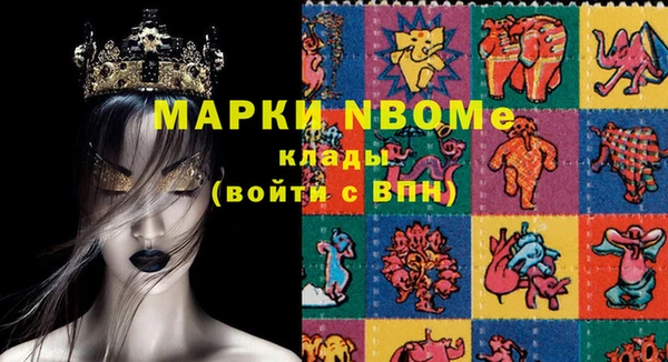 индика Абаза