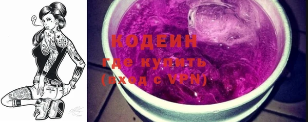 индика Абаза